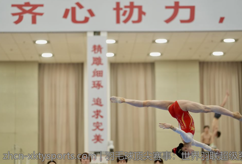 羽毛球顶尖赛事：世界羽联超级系列赛奖金分布秘密